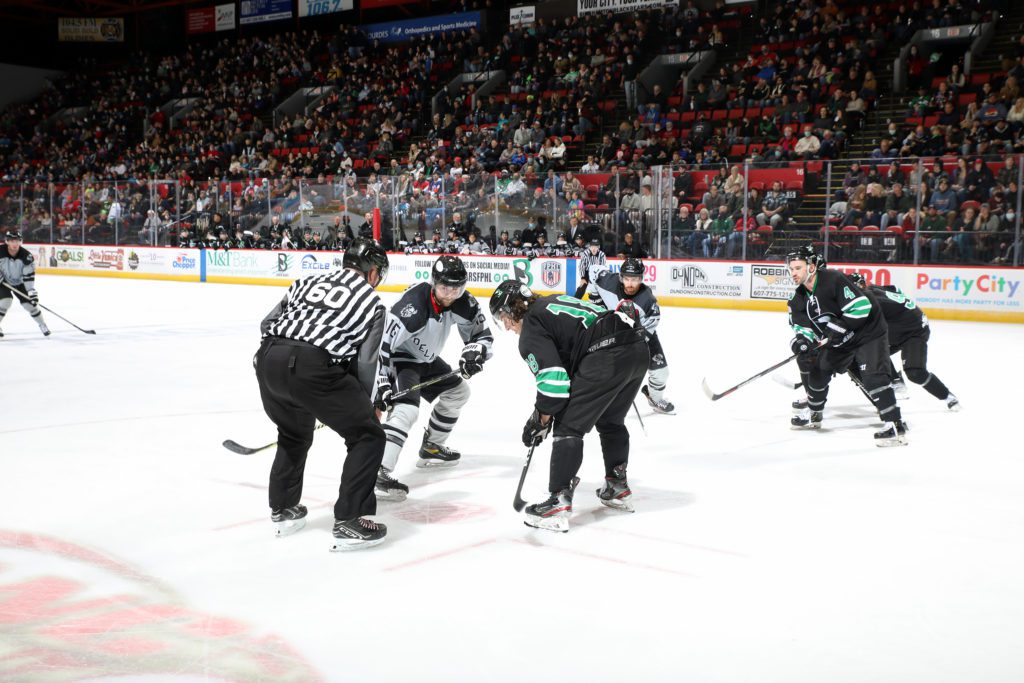 Two hockey players square off in arena with large crowd watching.