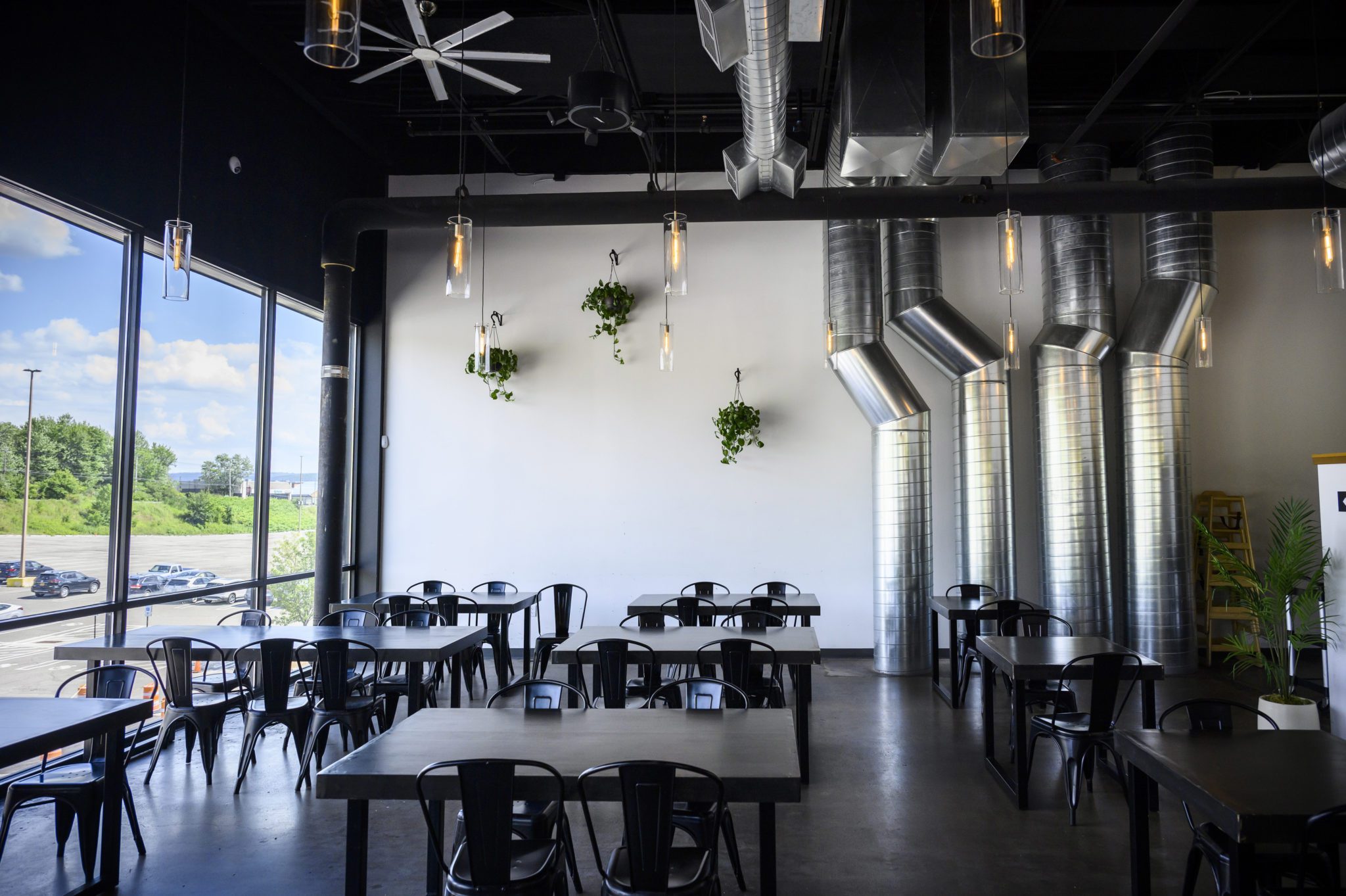 Beer Tree Brew Co. Visit Binghamton