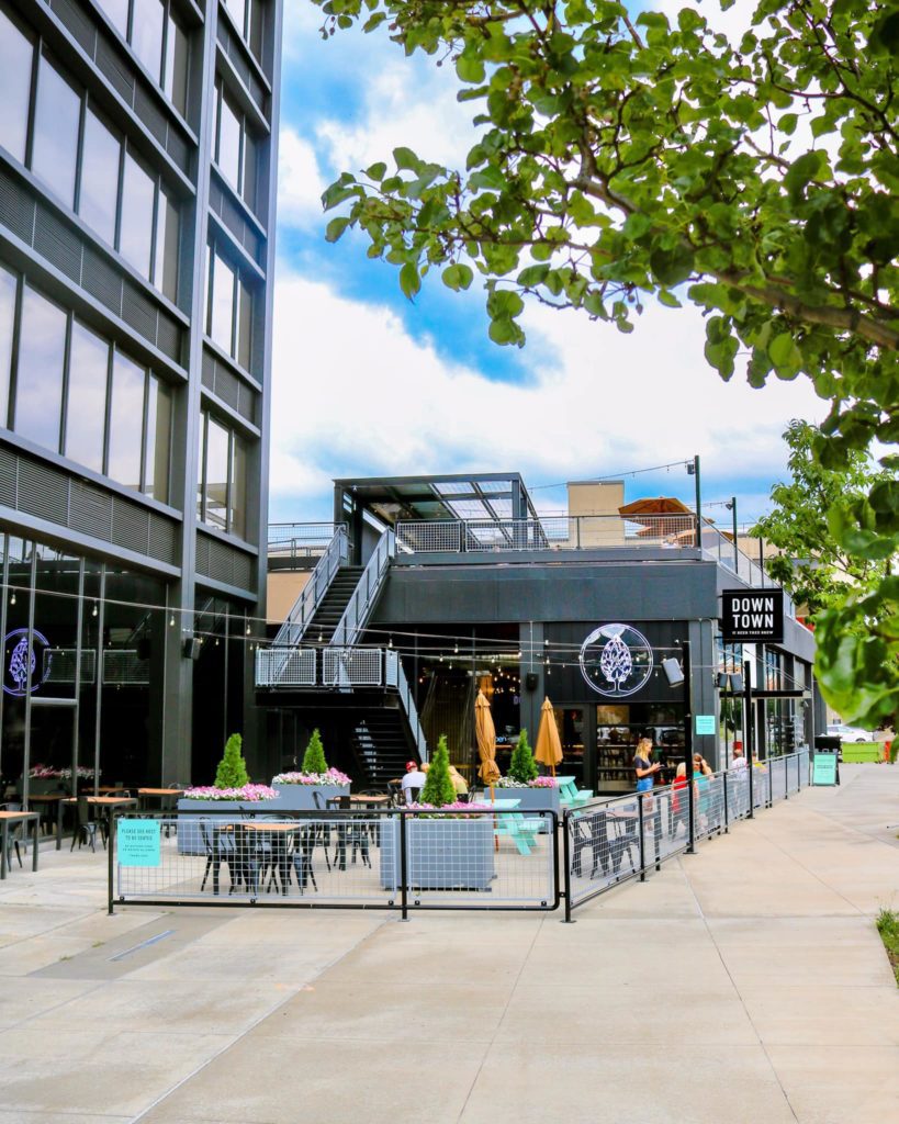 Battle of the Beer Trees Sliders at Downtown Visit Binghamton