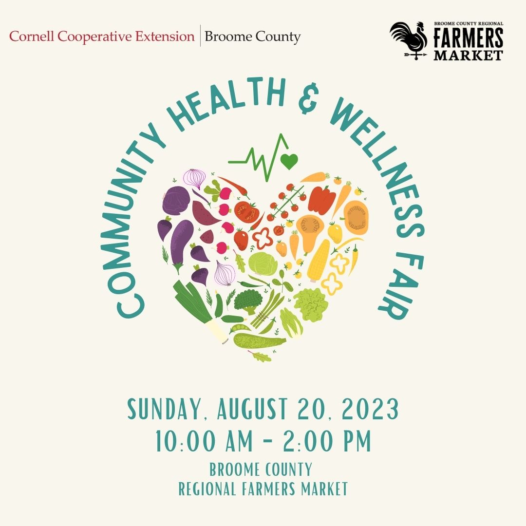 Community Health and Wellness Fair Visit Binghamton image
