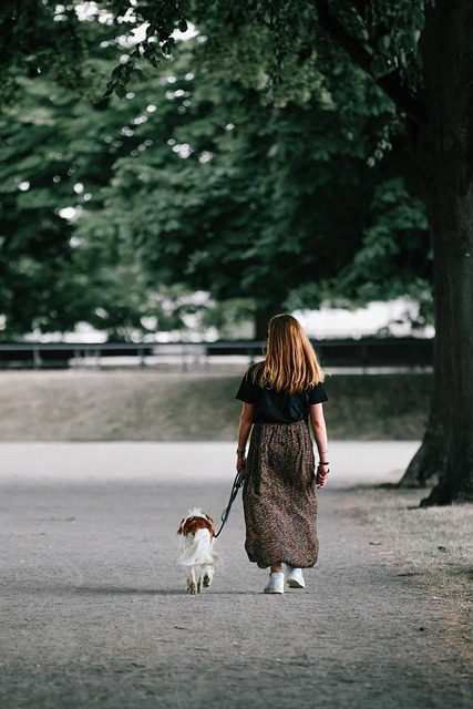 woman-7308033_640
